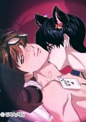 不是说去看偶像吗