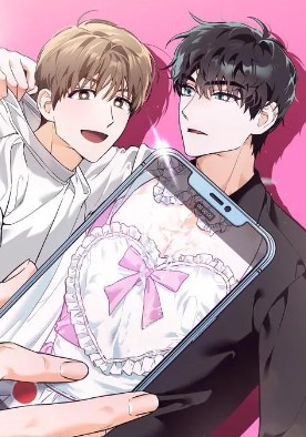 我的职业是开发者