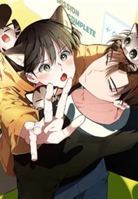 不想看我发疯的话，就给我生只小豹猫！