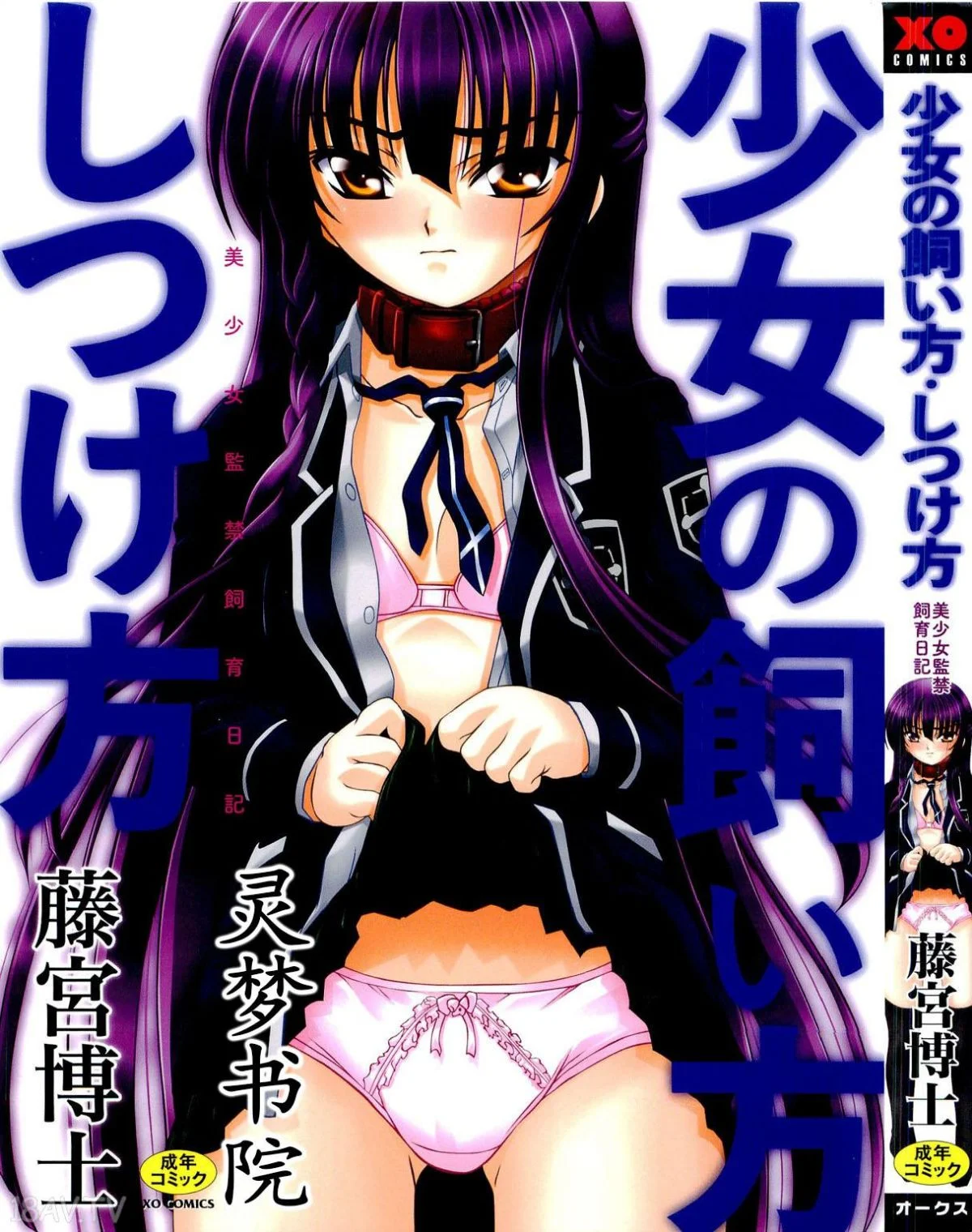 美少女監禁飼育日記～_少女の飼い方・しつけ方 ～