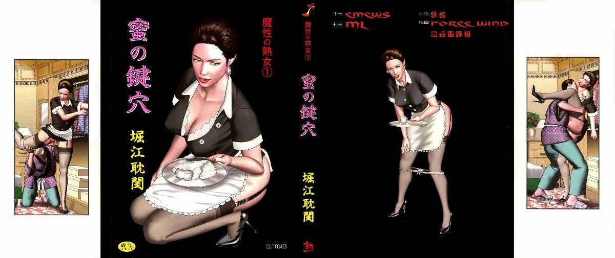 魔性の熟女 1 蜜の鍵穴