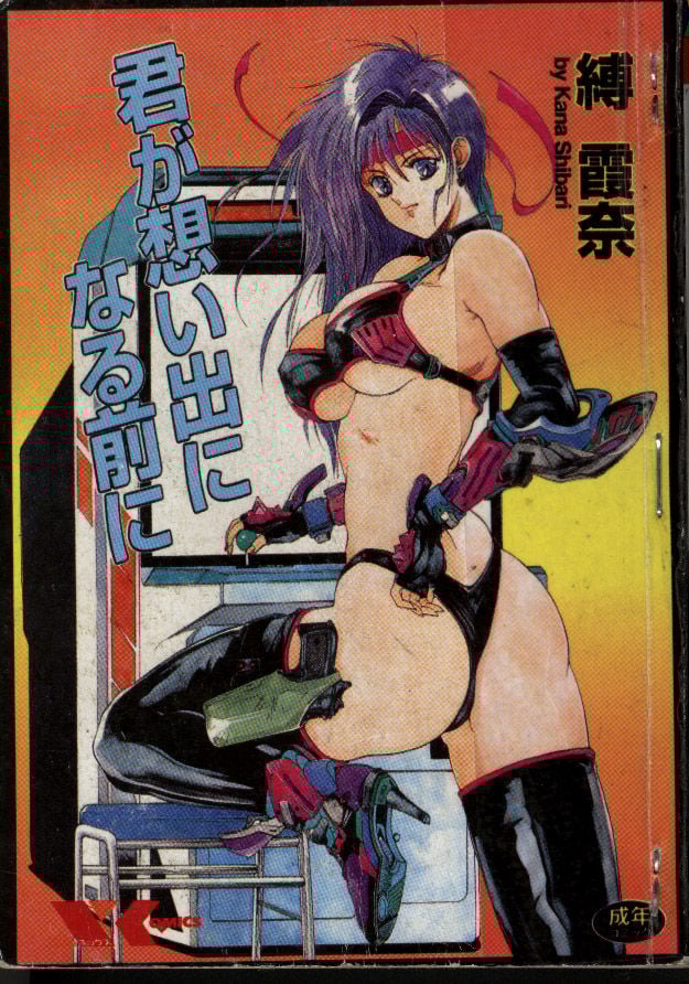 君が想い出になる前に