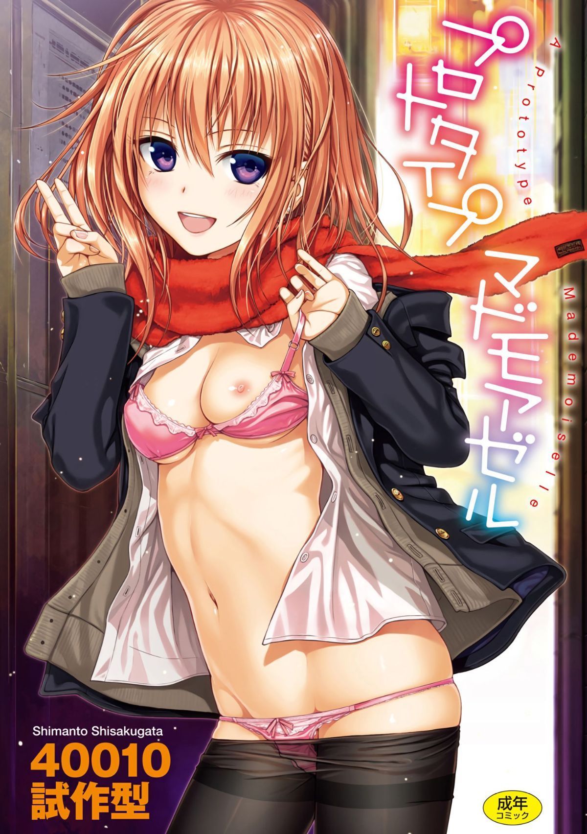 プロトタイプ マドモアゼル +とらのあなリーフレット+メロンブックスリーフレット